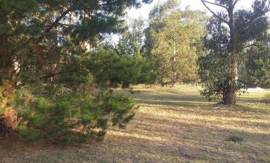 Terreno - 750Mts2 - Quequen, Necochea
