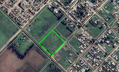Terreno en Venta - 10000 Mts2 - Necochea, Buenos Aires