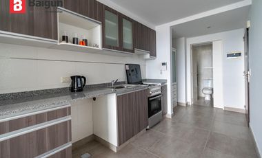 Departamento Temporario en  Saavedra