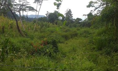 FINCA AGRICOLA-BUENAVISTA - DOIMA - LA MESA