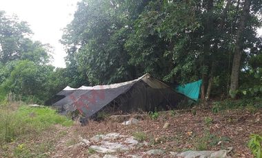 FINCA AGRICOLA-BUENAVISTA - DOIMA - LA MESA