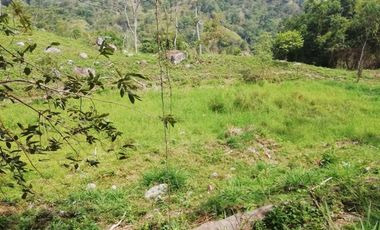 FINCA AGRICOLA-BUENAVISTA - DOIMA - LA MESA