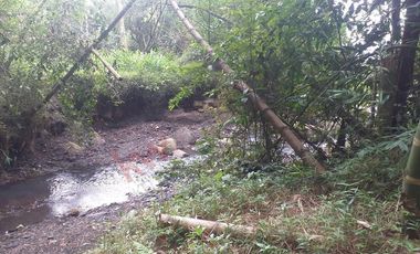 FINCA AGRICOLA-BUENAVISTA - DOIMA - LA MESA