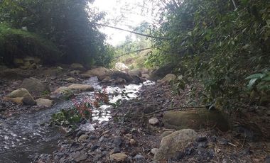 FINCA AGRICOLA-BUENAVISTA - DOIMA - LA MESA