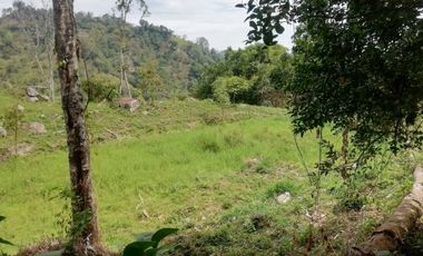 FINCA AGRICOLA-BUENAVISTA - DOIMA - LA MESA