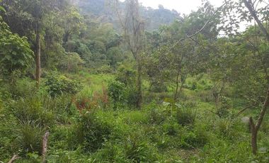 FINCA AGRICOLA-BUENAVISTA - DOIMA - LA MESA