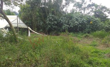 FINCA AGRICOLA-BUENAVISTA - DOIMA - LA MESA