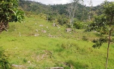 FINCA AGRICOLA-BUENAVISTA - DOIMA - LA MESA