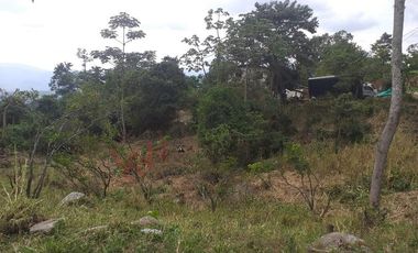 FINCA AGRICOLA-BUENAVISTA - DOIMA - LA MESA