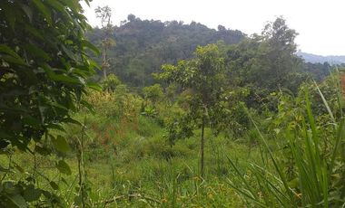 Finca en venta en La Mesa, La Mesa
