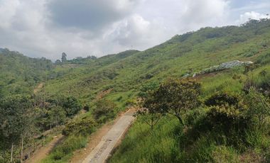 Espectacular Lote La Buitrera