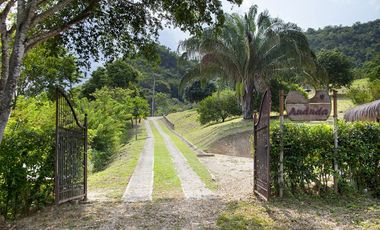 PROYECTO TURISTICO ANANDA ECOTURISMO ANAPOIMA-8142