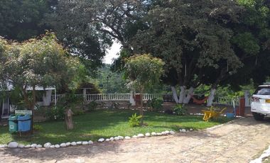 VENTA FINCA ANAPOIMA VEREDA EL HIGUERON-8119