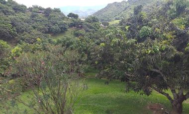 VENTA FINCA ANAPOIMA VEREDA EL HIGUERON-8119