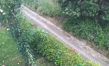 VENTA FINCA ANAPOIMA VEREDA EL HIGUERON-8119