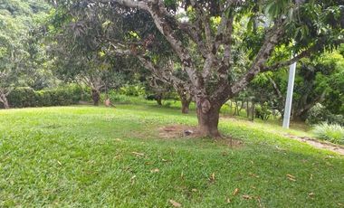 VENTA FINCA ANAPOIMA VEREDA EL HIGUERON-8119