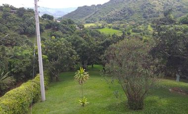 VENTA FINCA ANAPOIMA VEREDA EL HIGUERON-8119