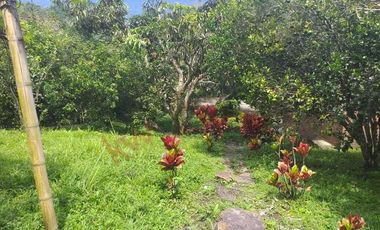 VENTA FINCA - TENA, CUNDINAMARCA - VEREDA GUASIMAL-8460