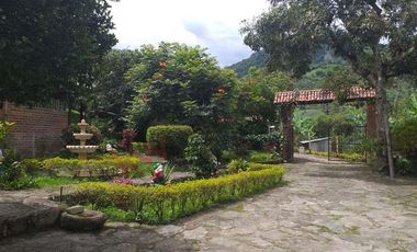 VENTA FINCA - TENA, CUNDINAMARCA - VEREDA GUASIMAL-8460