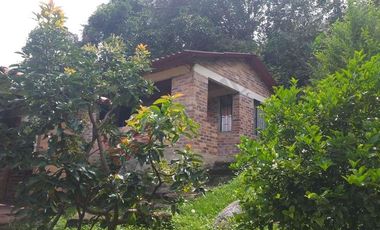 VENTA FINCA - TENA, CUNDINAMARCA - VEREDA GUASIMAL-8460