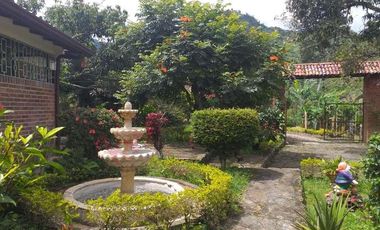 VENTA FINCA - TENA, CUNDINAMARCA - VEREDA GUASIMAL-8460