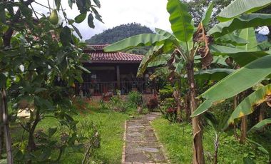 VENTA FINCA - TENA, CUNDINAMARCA - VEREDA GUASIMAL-8460