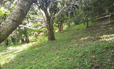 VENTA FINCA - TENA, CUNDINAMARCA - VEREDA GUASIMAL-8460