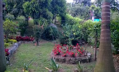 VENTA FINCA - TENA, CUNDINAMARCA - VEREDA GUASIMAL-8460