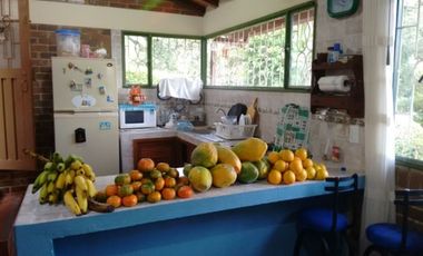 VENTA FINCA - TENA, CUNDINAMARCA - VEREDA GUASIMAL-8460