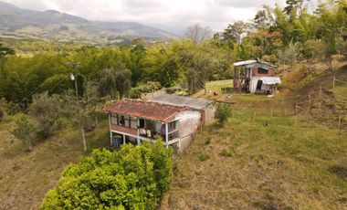 Paraíso En Calima: Finca Multifacética Con Negocio Incluido
