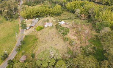 Paraíso En Calima: Finca Multifacética Con Negocio Incluido