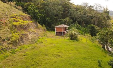 Paraíso En Calima: Finca Multifacética Con Negocio Incluido