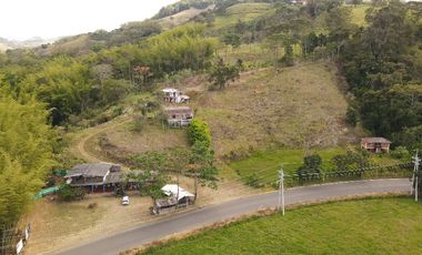 Paraíso En Calima: Finca Multifacética Con Negocio Incluido