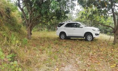 VENTA FINCA ANAPOIMA VEREDA EL HIGUERON-7790