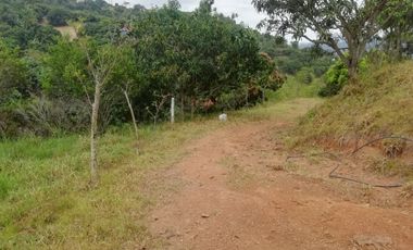 VENTA FINCA ANAPOIMA VEREDA EL HIGUERON-7790