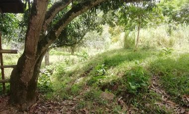 VENTA FINCA ANAPOIMA VEREDA EL HIGUERON-7790