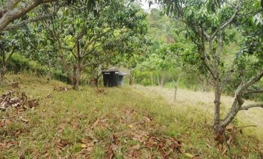 VENTA FINCA ANAPOIMA VEREDA EL HIGUERON-7790
