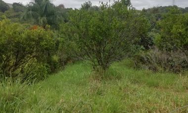 VENTA FINCA ANAPOIMA VEREDA EL HIGUERON-7790