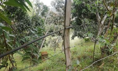 VENTA FINCA ANAPOIMA VEREDA EL HIGUERON-7790