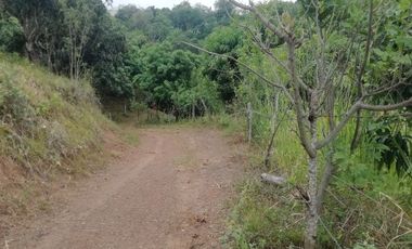 VENTA FINCA ANAPOIMA VEREDA EL HIGUERON-7790