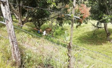 VENTA FINCA ANAPOIMA VEREDA EL HIGUERON-7790