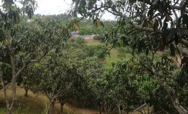 VENTA FINCA ANAPOIMA VEREDA EL HIGUERON-7790