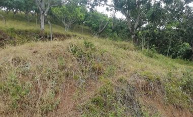 VENTA FINCA ANAPOIMA VEREDA EL HIGUERON-7790