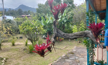 Casa Campestre Vereda La Esperanza - La Mesa Via Cachipay