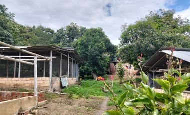 VENTA FINCA PRODUCTIVA - AGUA PROPIA - LA MESA CUNDINAMARCA-9762