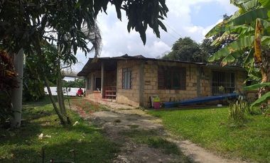 VENTA FINCA PRODUCTIVA - AGUA PROPIA - LA MESA CUNDINAMARCA-9762