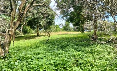 VENTA FINCA PRODUCTIVA - AGUA PROPIA - LA MESA CUNDINAMARCA-9762