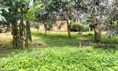 VENTA FINCA PRODUCTIVA - AGUA PROPIA - LA MESA CUNDINAMARCA-9762