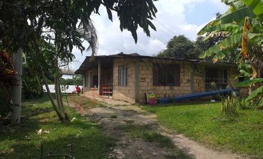 VENTA FINCA PRODUCTIVA - AGUA PROPIA - LA MESA CUNDINAMARCA-9762