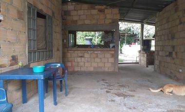 VENTA FINCA PRODUCTIVA - AGUA PROPIA - LA MESA CUNDINAMARCA-9762
